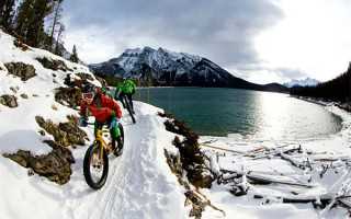 浙江明牌珠宝股份有限公司 2020年年度报告摘要