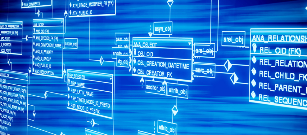 深读｜一杯“村咖”，如何飘香南庄？
