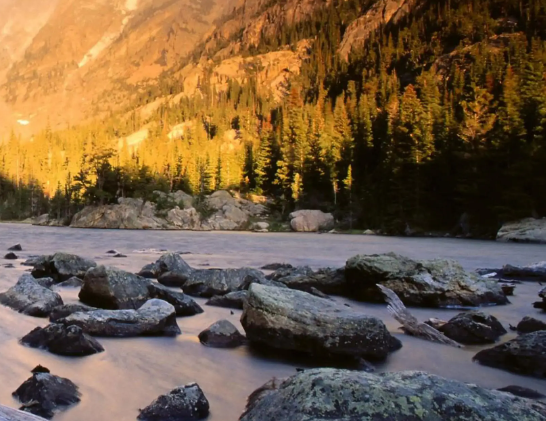 奢侈品品牌扒历史之Alexander Wang亚历山大王